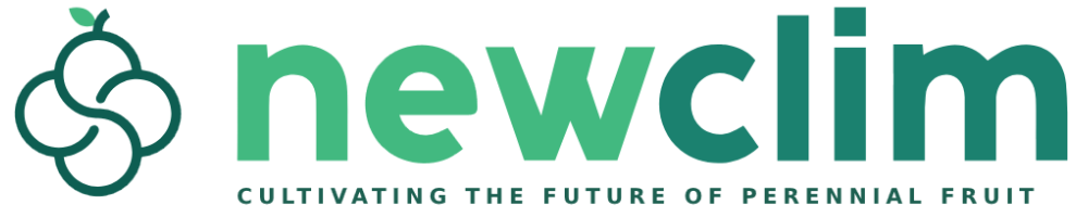 Newclim – Cultivating the future of perennial fruit crops